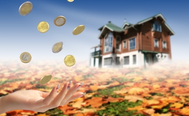 House & coins