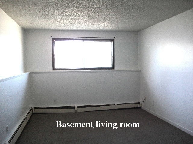 Living room in a basement suite